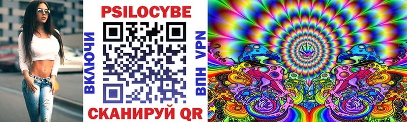 где продают omg сайт Псилоцибиновые грибы MAGIC MUSHROOMS Курганинск